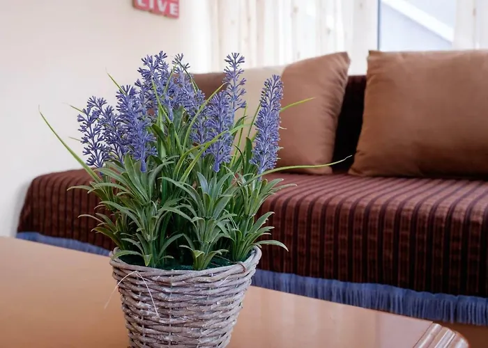 Nice & Quiet Apartment In Best Area